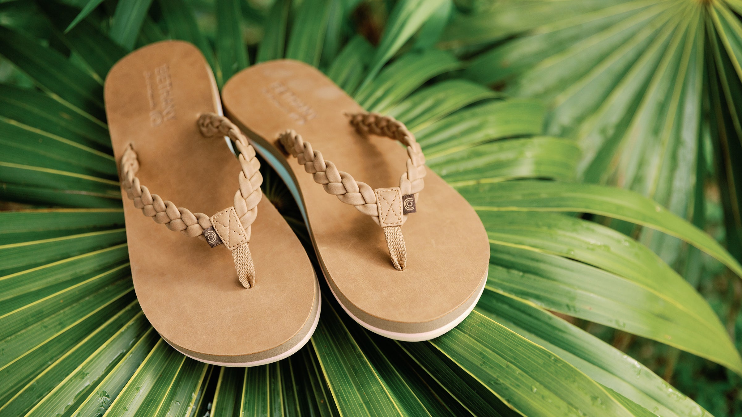 Cobian Bethany Braided Pacifica sandals in Tan color sitting on palm leaf